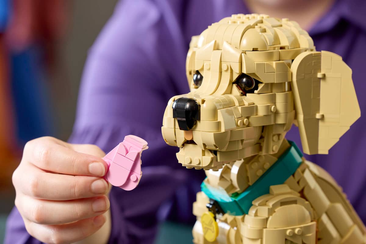 Конструктор LEGO Icons 11384 Golden Retriever Puppy