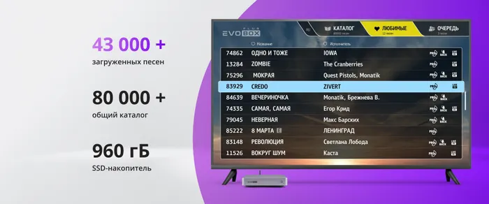 Караоке система Evolution EVOBOX Plus Black